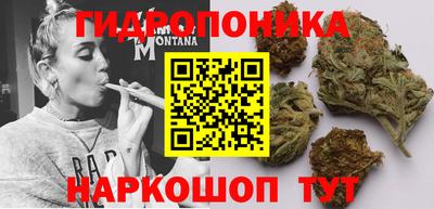 ПСИЛОЦИБИНОВЫЕ ГРИБЫ Северобайкальск