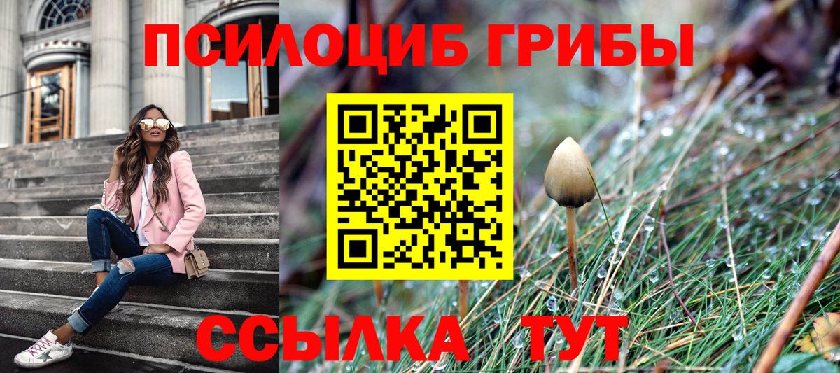 Сертолово  Псилоцибиновые грибы Magic Shrooms  Вход с VPN 